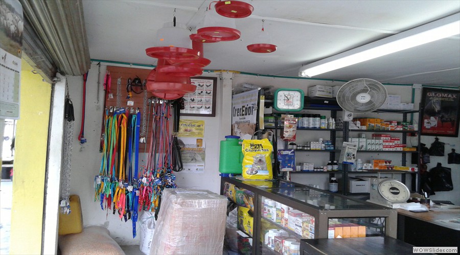 foto6