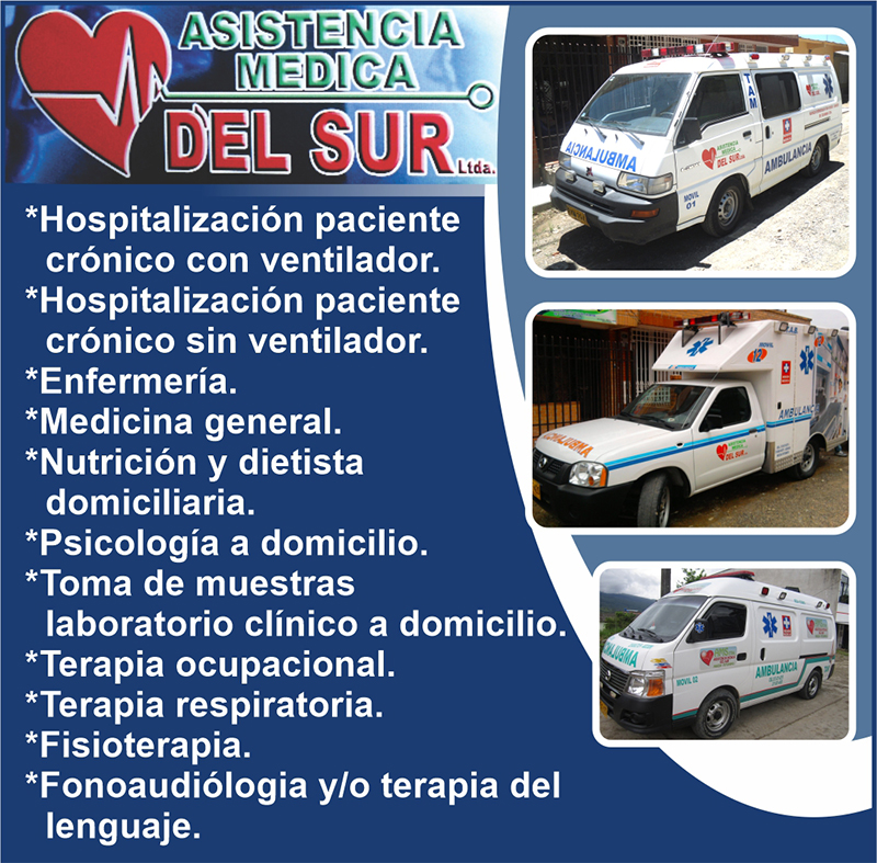ASISTENCIA MEDICA DEL SUR