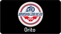 IMPORTADORA LIDER DEL SUR LTDA / ORITO