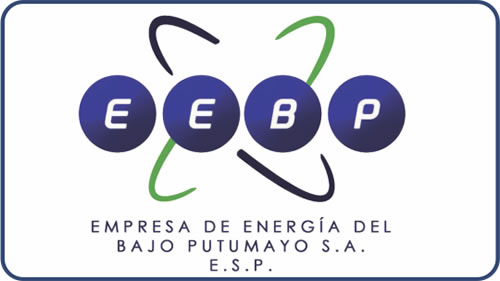 EMPRESA DE ENERGIA DEL BAJO PUTUMAYO S.A. E.S.P.