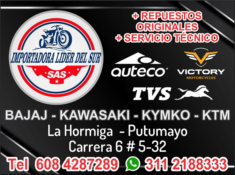 IMPORTADORA LIDER DEL SUR LTDA / LA HORMIGA