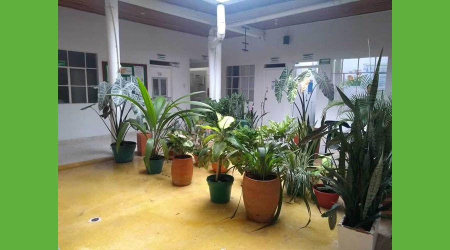 CLINICA DE LA AMAZONIA_8
