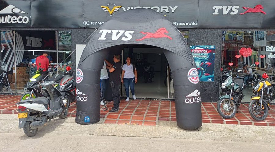 IMPORTADORA LIDER DEL SUR LTDA