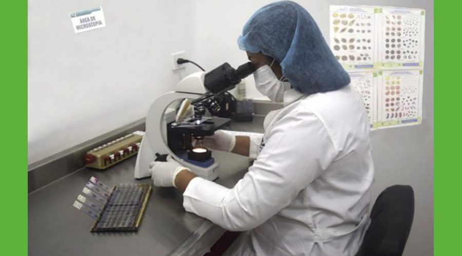Laboratorio