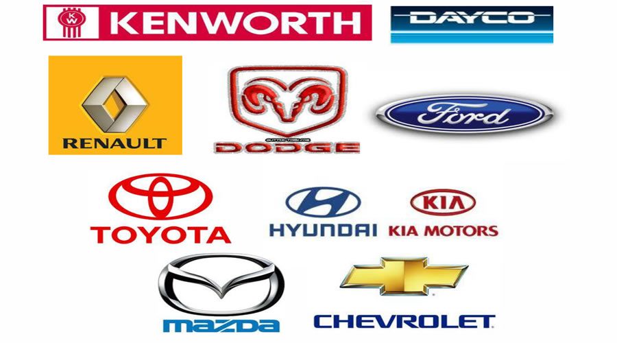 solo_electricos_automotriz_foto4